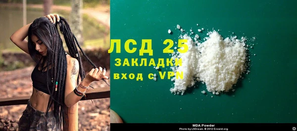 сатива Беломорск