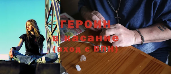 сатива Беломорск