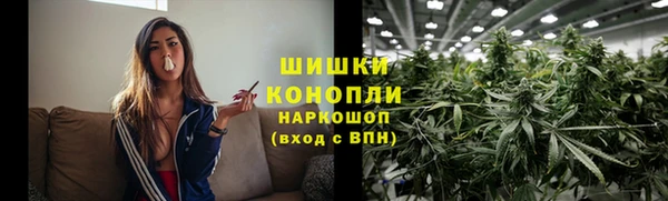 индика Белоозёрский