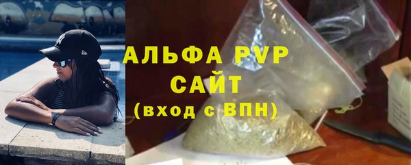 индика Белоозёрский