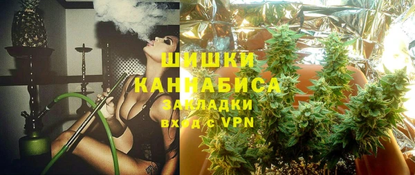 a pvp Белокуриха