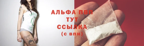 сатива Беломорск