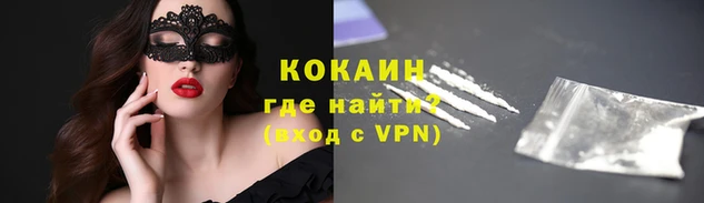 a pvp Белокуриха
