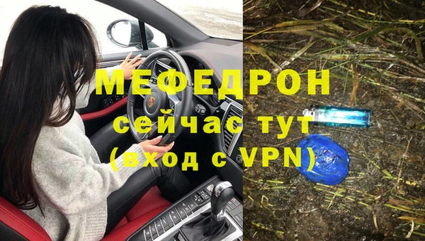 сатива Беломорск