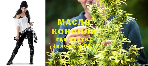 индика Белоозёрский