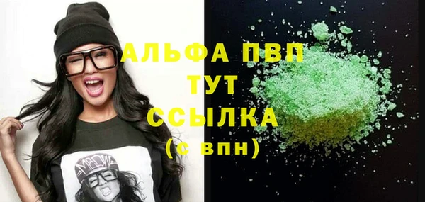 индика Белоозёрский