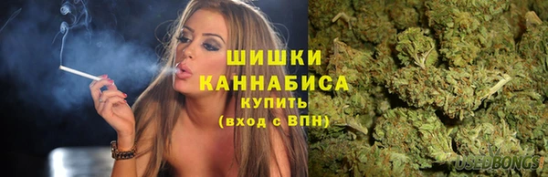 индика Белоозёрский