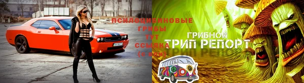 a pvp Белокуриха