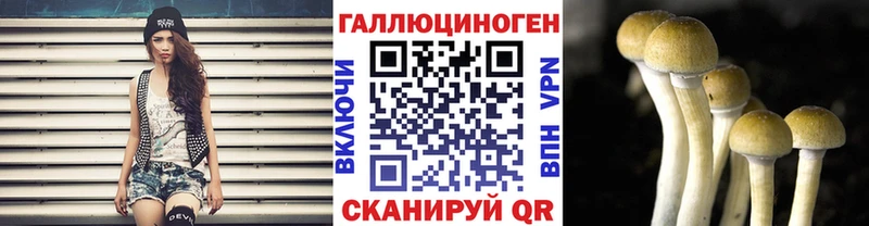 Псилоцибиновые грибы мухоморы  Павловская 